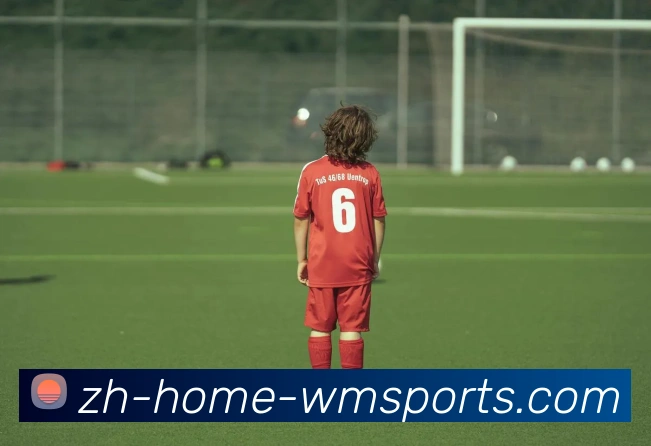 完美体育官网APP 体育赛事宣传图